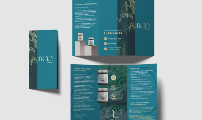 mise en page graphique brochure aurae