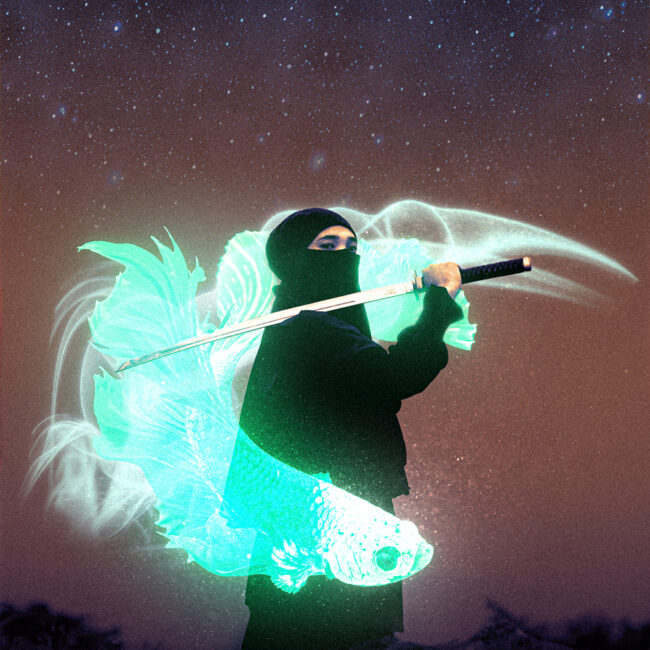 création graphique poster samurai et carpe magique