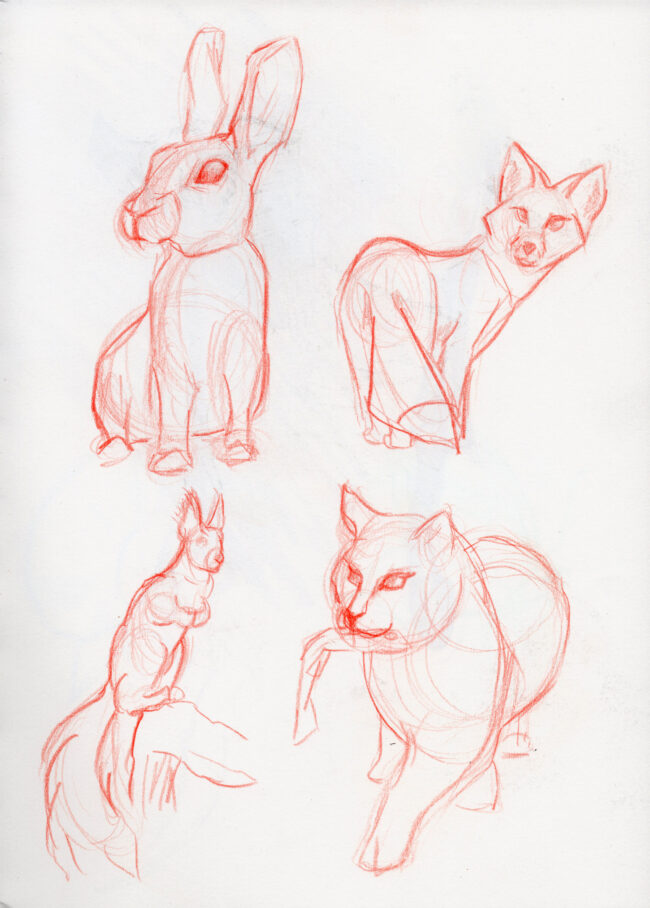 dessin crayonné orange lapin renard ecureil chat